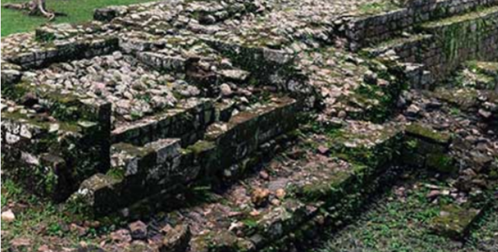 Quét laser xuyên rừng, các nhà khoa học sửng sốt phát hiện