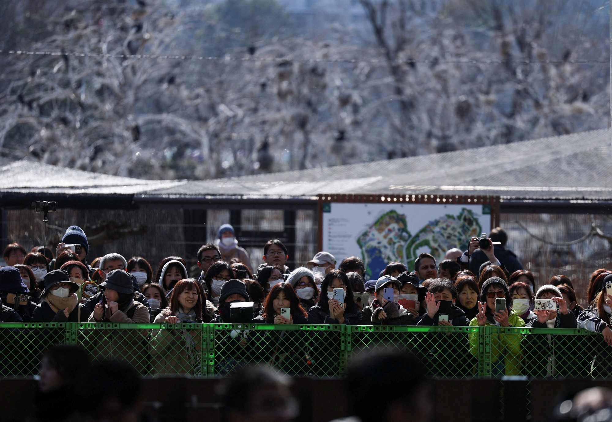 Hàng dài người dân Nhật Bản xúc động xếp hàng chia tay cặp gấu trúc sinh đôi quay trở về Trung Quốc, sở thú có thể thiệt hại tới 3.400 tỷ đồng/năm- Ảnh 2.