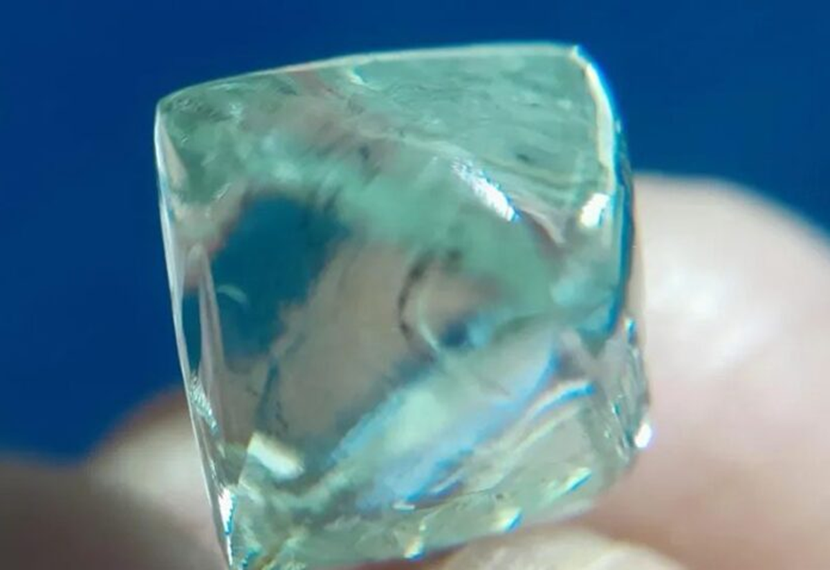 Rủ nhau đi đào đất, 2 người đàn ông “đổi đời” khi nhặt được báu vật trị giá 52 tỷ đồng- Ảnh 2.