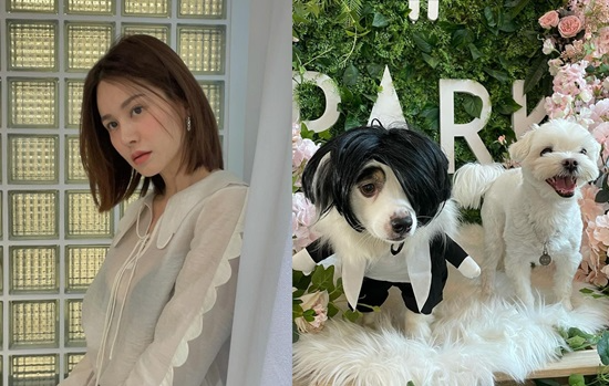 Song Seung Hun chung sống với sao nữ nóng bỏng nhất xứ Hàn?- Ảnh 3. Song Seung Hun chung sống với sao nữ nóng bỏng nhất xứ Hàn?- Ảnh 3.