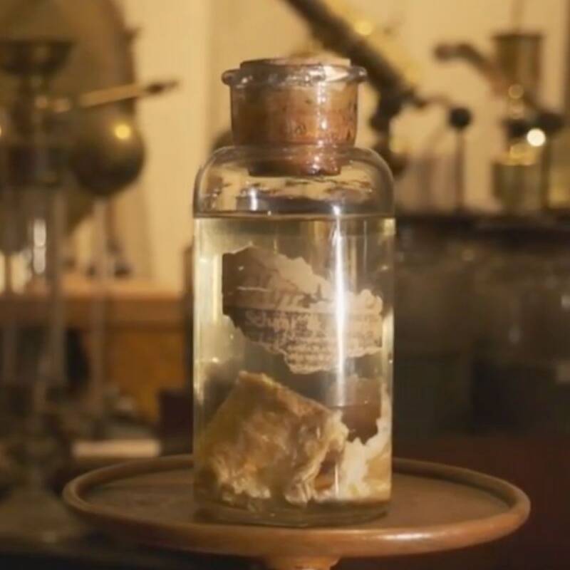 Một cơn mưa thịt sống từng rơi xuống ở Mỹ- Ảnh 1.