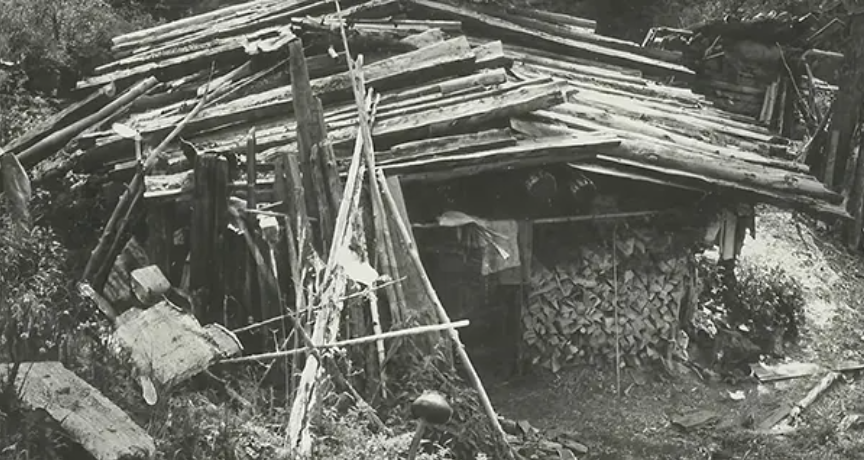 Gia đình tự cô lập giữa rừng sâu từ năm 1936, không biết Thế chiến II đã kết thúc- Ảnh 3.