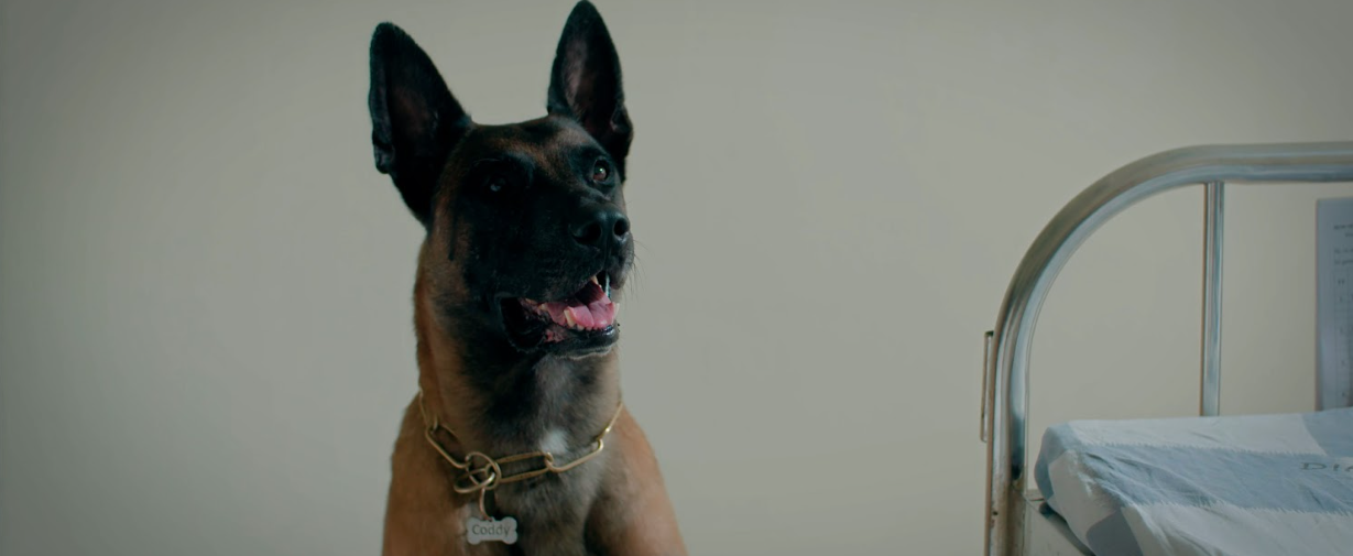 “Hồng Đăng trở lại màn ảnh là cái duyên, mong khán giả đón nhận”- Ảnh 7.