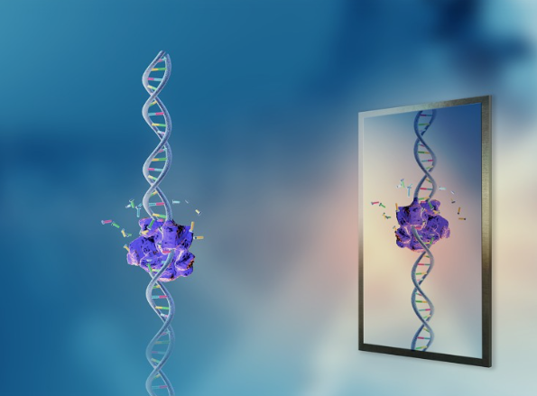 Lời cảnh báo về thứ có thể khiến Trái đất tận thế- Ảnh 2.