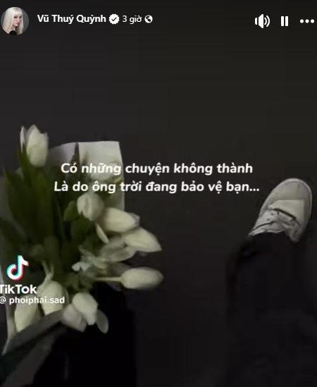 Chuyện gì đang xảy ra với Vũ Thúy Quỳnh?- Ảnh 2.