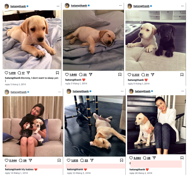 Khoảnh khắc nhớ mãi của Tăng Thanh Hà- Ảnh 1.