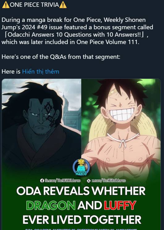 One Piece: Dragon từng chung sống với Luffy, hé lộ lý do đau lòng khiến cha con phải ly tán- Ảnh 1.