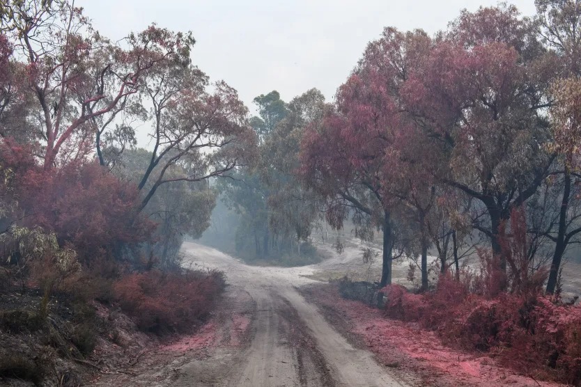 Trong khi nhiều nước co ro vì lạnh, 1 quốc gia hứng nắng nóng 50°C: “Trời nóng khủng khiếp!”- Ảnh 1.