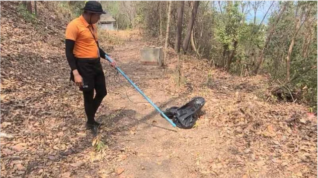 Sinh vật dài ngoằng bất ngờ trồi lên giữa bãi tắm đông nghịt, cơ quan chức năng nói: