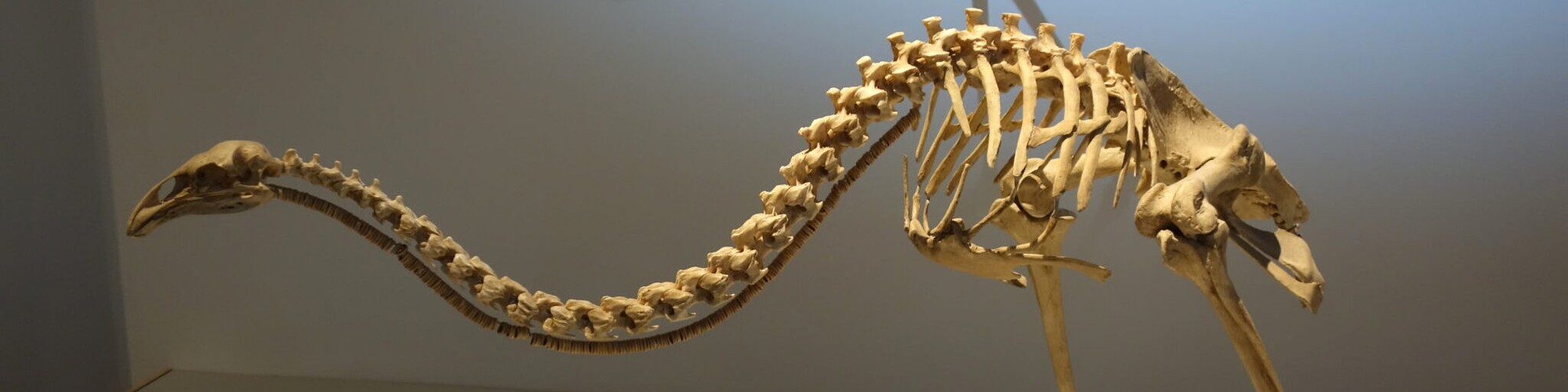 Những câu chuyện khoa học nổi bật nhất năm 2025: Từ tham vọng hồi sinh quái thú đến những