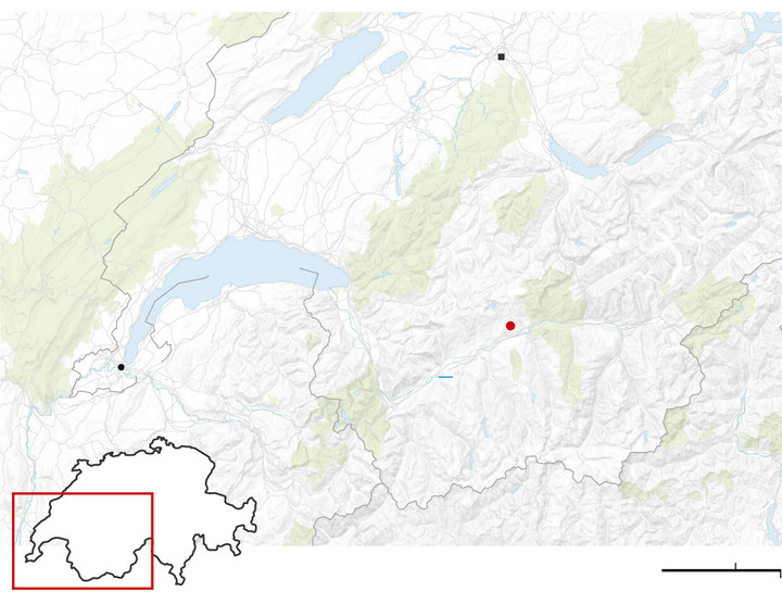 Thảm kịch cháy quán bar ở Thụy Sĩ: Nghi do pháo hoa làm bén lửa trần nhà- Ảnh 2.