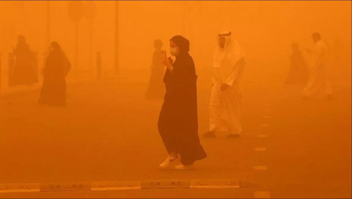 Thành phố nóng nhất thế giới: Cá bị luộc chín, chim rơi xuống đất mà con người vẫn bám trụ bằng cách này- Ảnh 6.