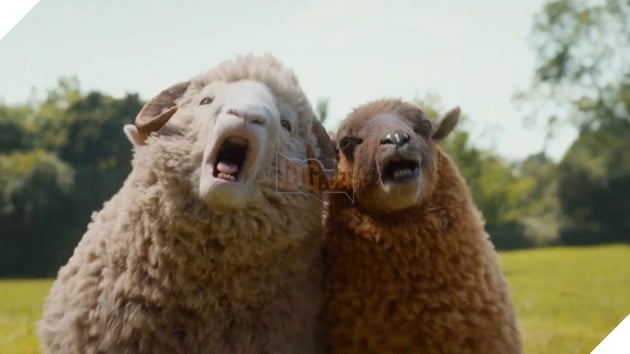 Hình ảnh về đàn cừu trong phim The Sheep Detectives.