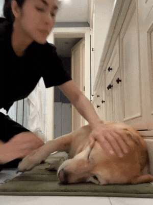 Chia buồn cùng Tăng Thanh Hà- Ảnh 1.