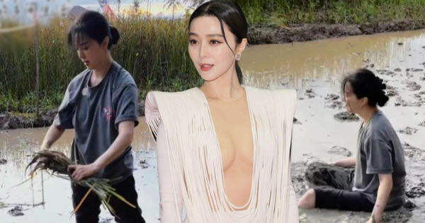 Hết cứu Phạm Băng Băng thiet ke chua co ten 21 17685398121632047989937 0 0 335 640 crop 17685398191741355342470png