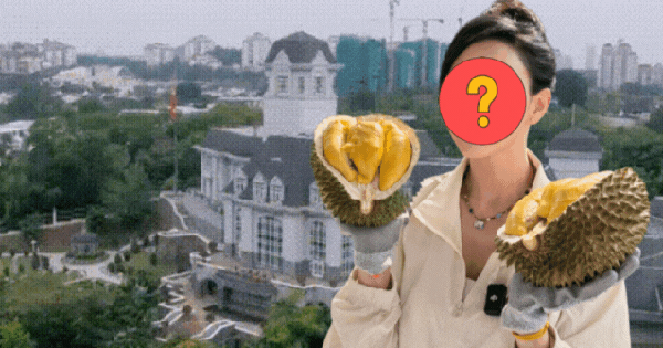 Người đẹp cưới "đại gia mai táng" sướng như tiên: Ở biệt phủ 6.000 m2, sáng hái mít chiều hái sầu riêng thiet ke chua co ten 7 17667380490141119900299 0 0 335 640 crop 1766742543842805815181gifpng