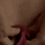 Không thể mê nổi cảnh nóng xấu hổ nhất phim Hàn thumb untitled design 177242162831267366108 1772421631967954864626 14 0 223 400 crop 17724216462032106244297gifpng