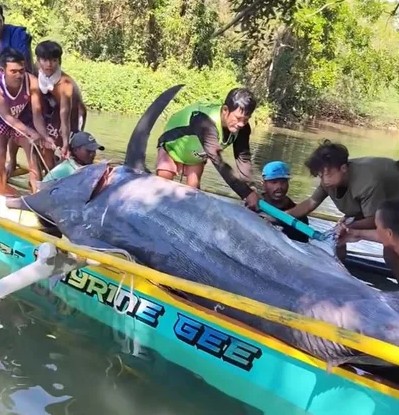 Ngư dân vật lộn nghẹt thở với