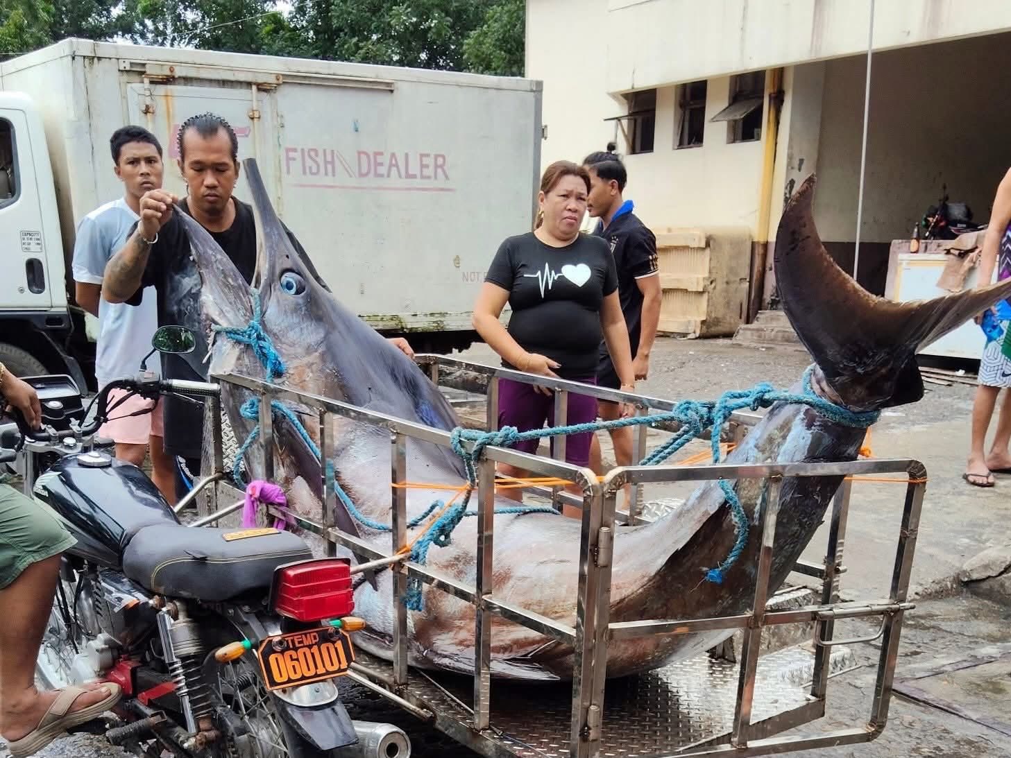 Ngư dân vật lộn nghẹt thở với