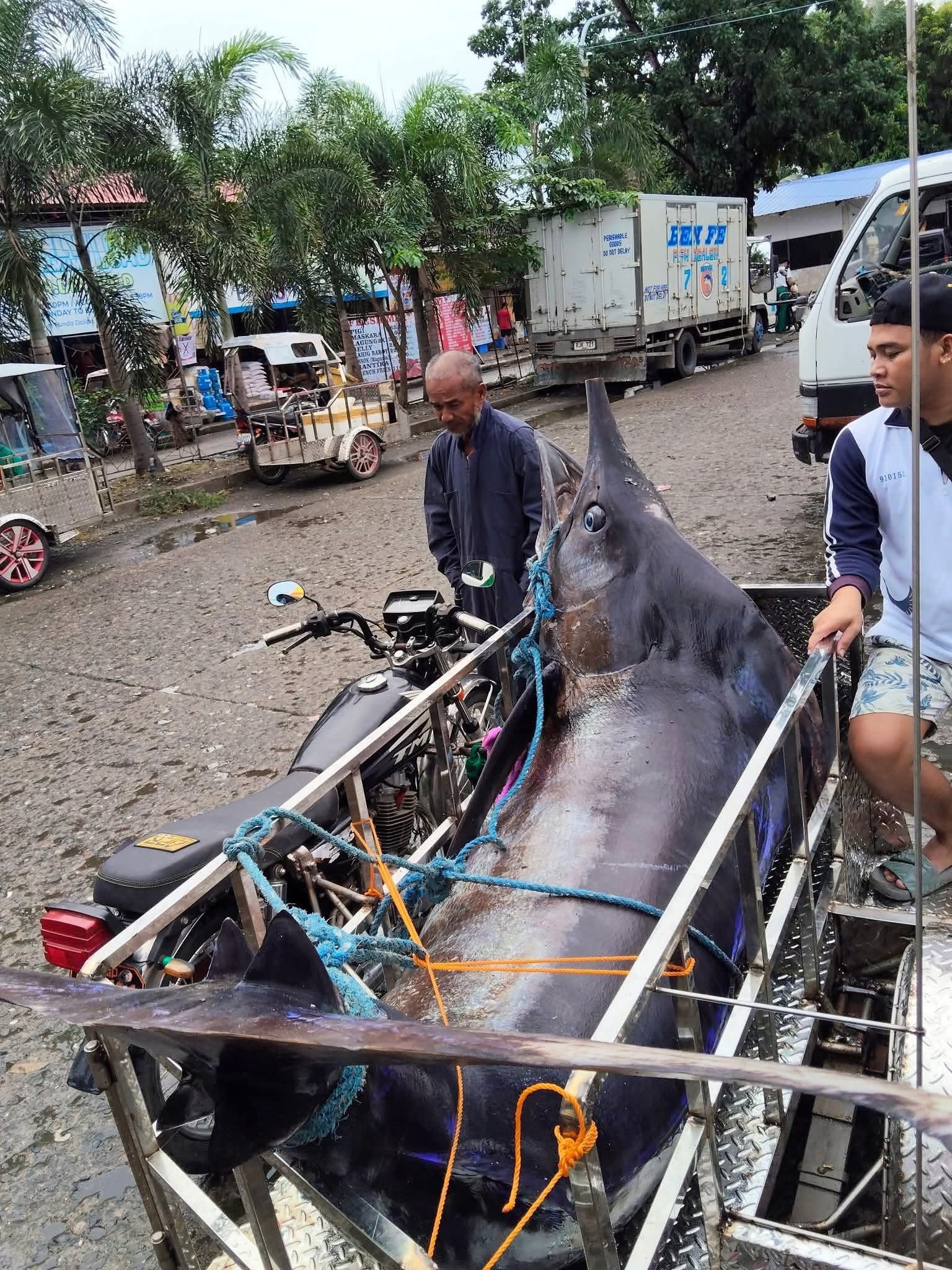 Ngư dân vật lộn nghẹt thở với