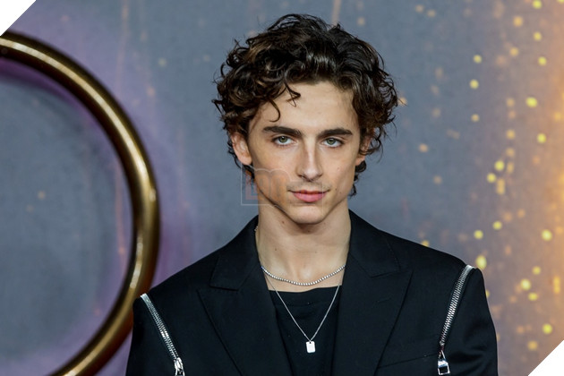 Hình ảnh về sao nam Timothée Chalamet.
