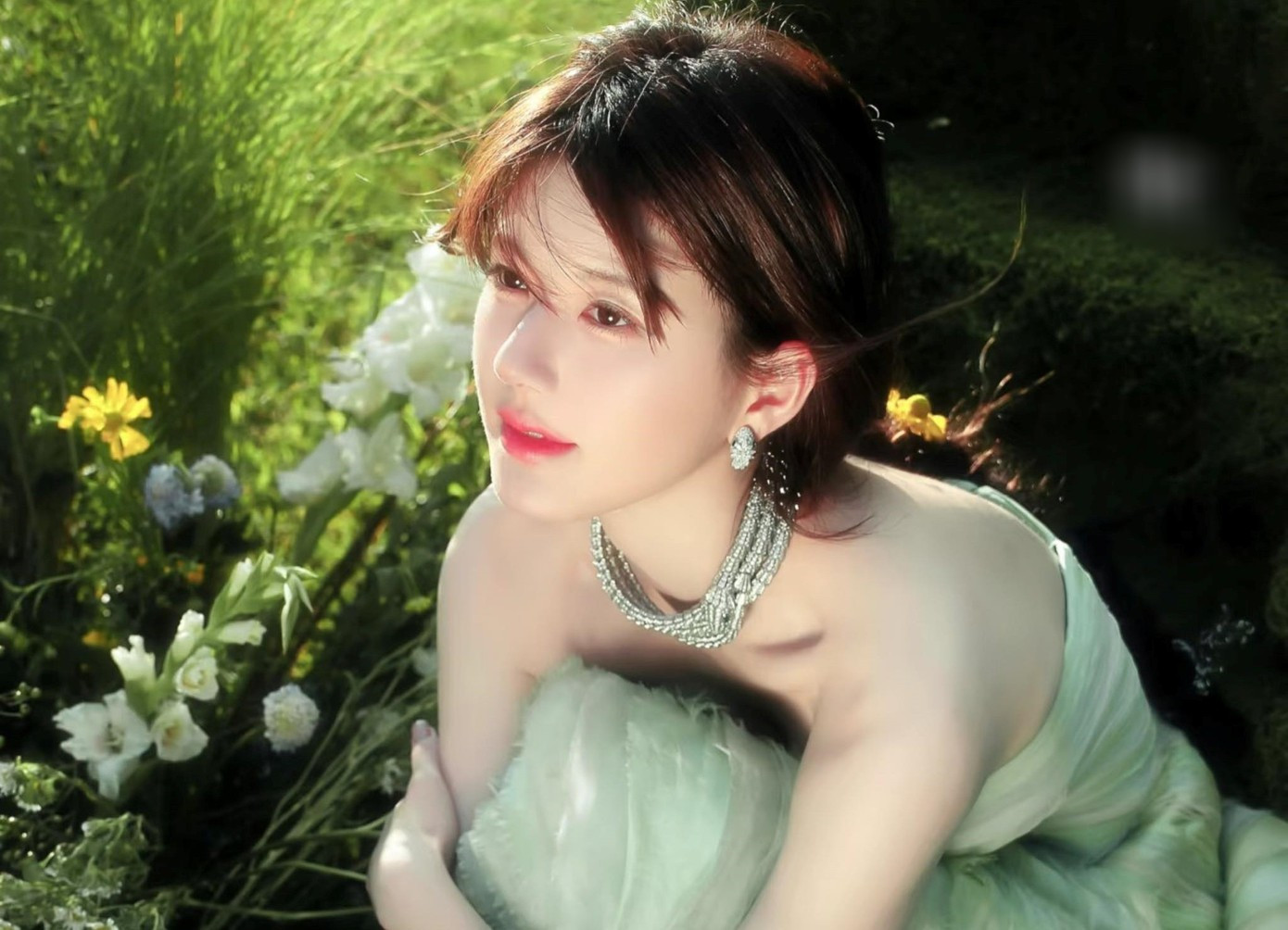 Thảm cảnh của Cúc Tịnh Y- Ảnh 3.