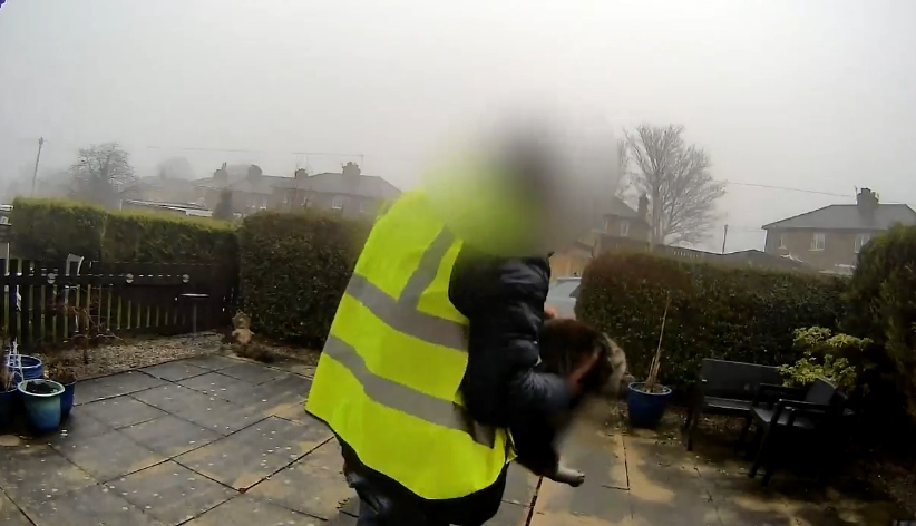 Đi giao hàng, nam shipper trộm luôn mèo của khách- Ảnh 1.