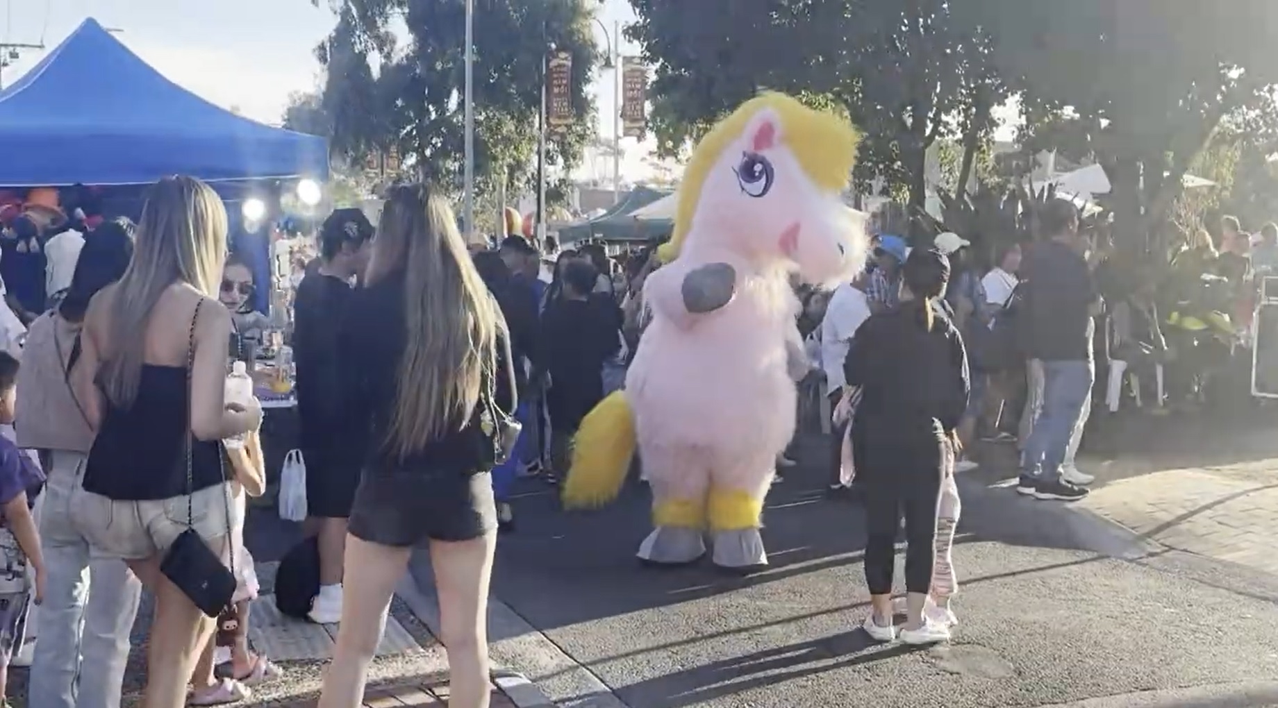 Sắc xuân rạng rỡ trong những hội chợ Tết Việt nơi xứ người- Ảnh 9.