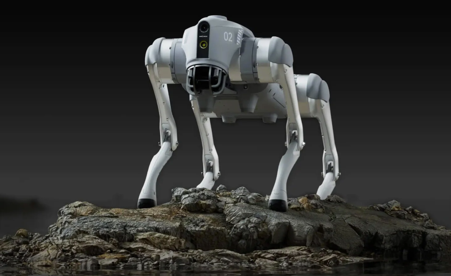 Trung Quốc ra mắt dịch vụ cho thuê robot hình người để làm việc, kể cả ma chay cưới hỏi...- Ảnh 2.