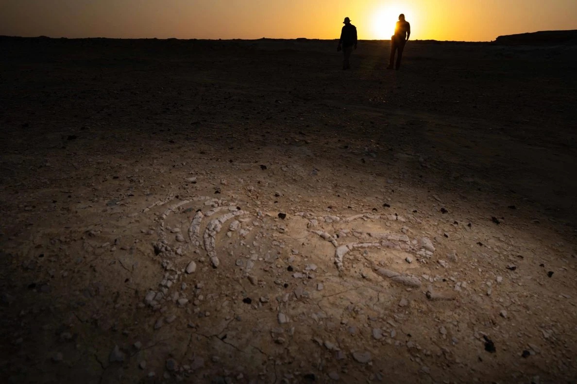 170 điểm chứa xương