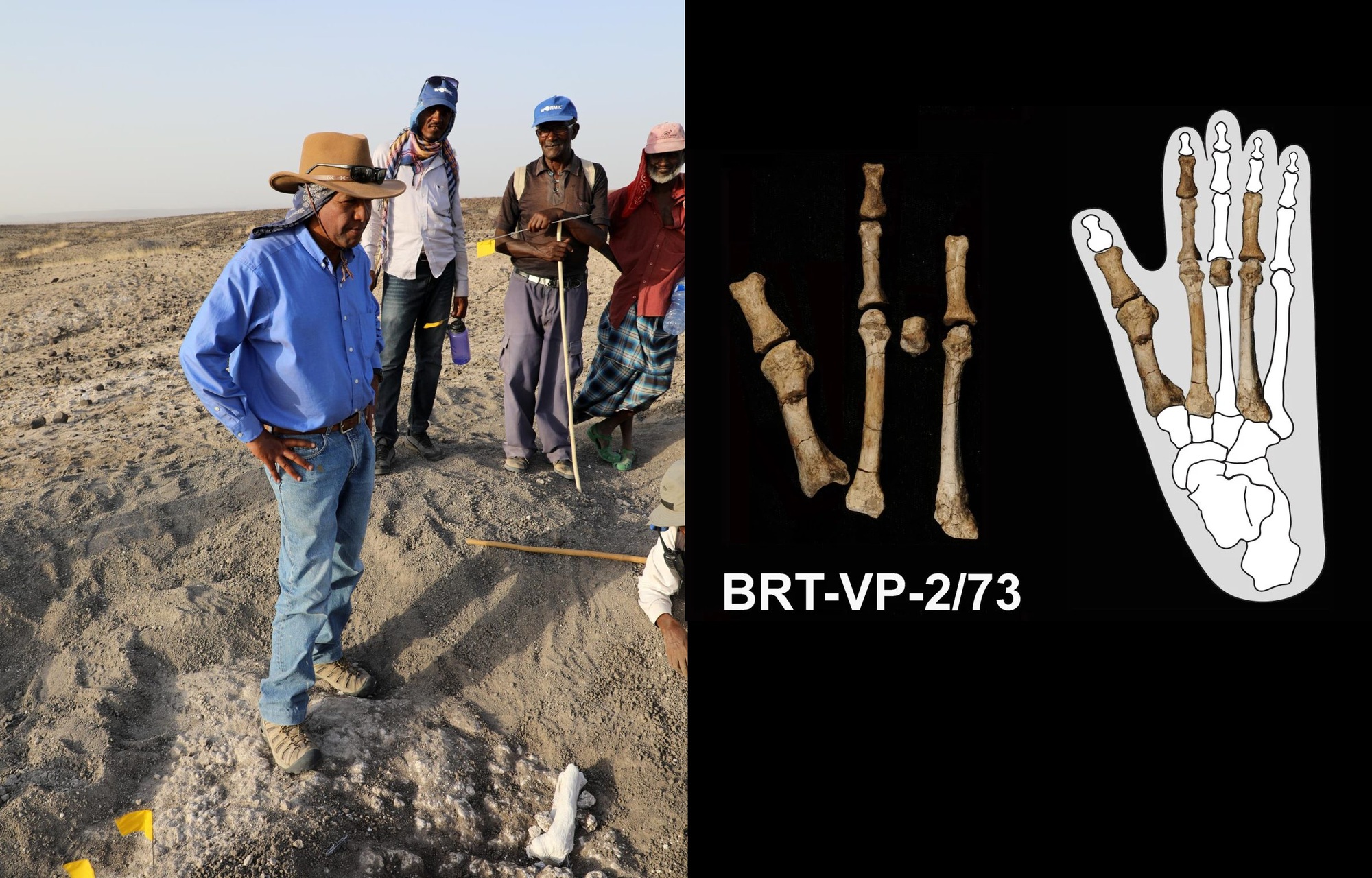 Bàn chân 3,4 triệu tuổi làm thay đổi lịch sử loài người- Ảnh 1.