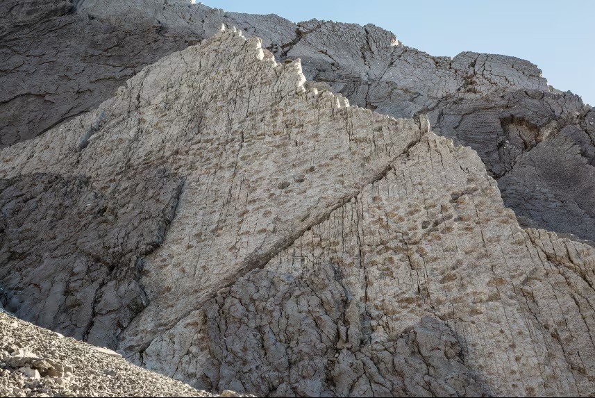 20.000 dấu chân quái vật bất ngờ hiện ra trong ảnh chụp vách núi- Ảnh 1.