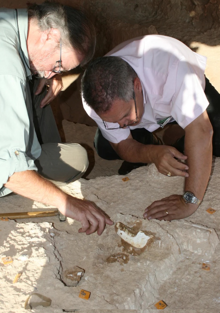 Tổ tiên loài người hiện đại vừa xuất hiện ở Casablanca?- Ảnh 2.