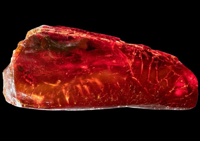 Sưu tập hổ phách, đại thi hào Đức