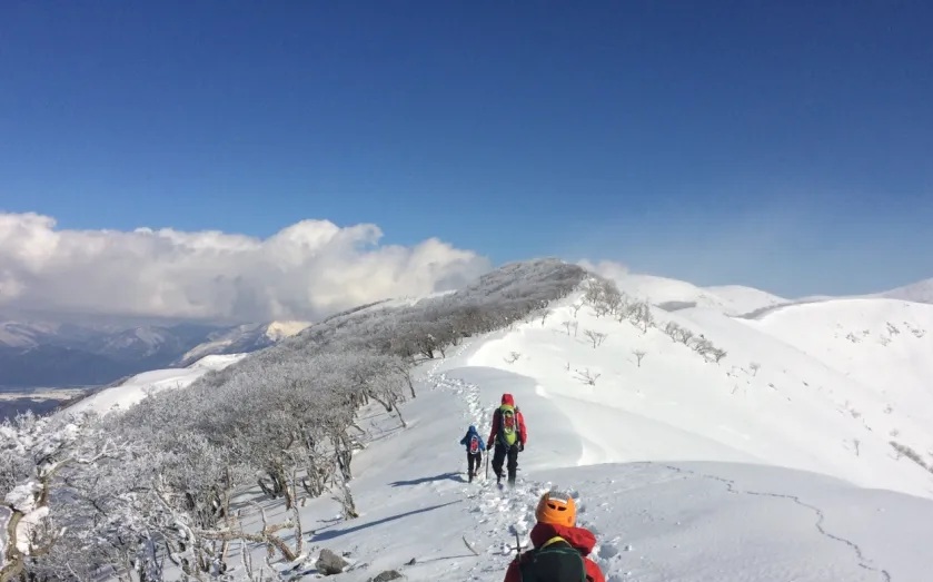 Lạc trên núi tuyết Nhật Bản, một phụ nữ Việt Nam tử nạn- Ảnh 1.