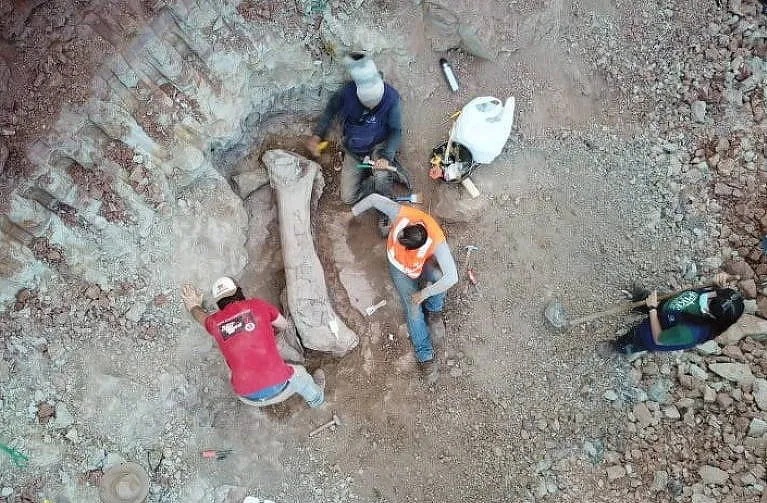 Quái vật dài 20 m