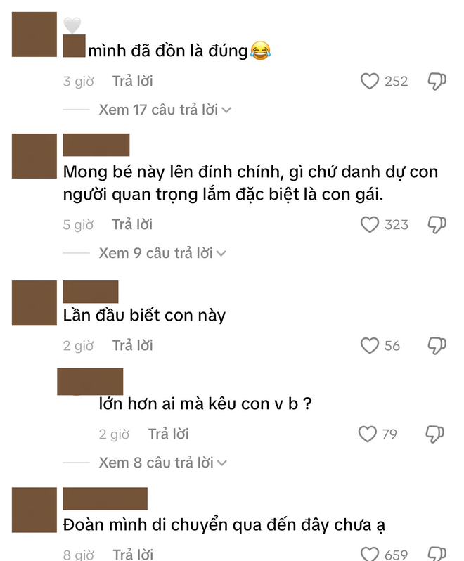 MaiQuinn đã làm gì mà bị tấn công dữ dội?- Ảnh 3.
