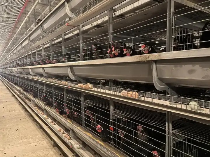 Vì sao công nghệ càng tối tân, con người càng cảm thấy kiệt quệ?- Ảnh 1.