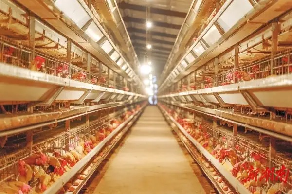 Vì sao công nghệ càng tối tân, con người càng cảm thấy kiệt quệ?- Ảnh 2.