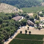 Brad Pitt giành chiến thắng quan trọng trước Angelina Jolie v21 1766112090371 1766112090735686201317