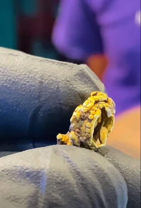 Nhặt được vàng khi đi đánh cá, ngư dân mang đi kiểm tra thì sốc nặng- Ảnh 2.