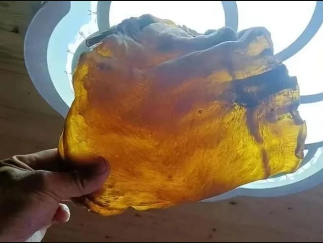 Mở thùng gạo phủ bụi, người đàn ông phát hiện vật thể khô bị lãng quên 50 năm, giá trị ngang căn biệt thự- Ảnh 1.