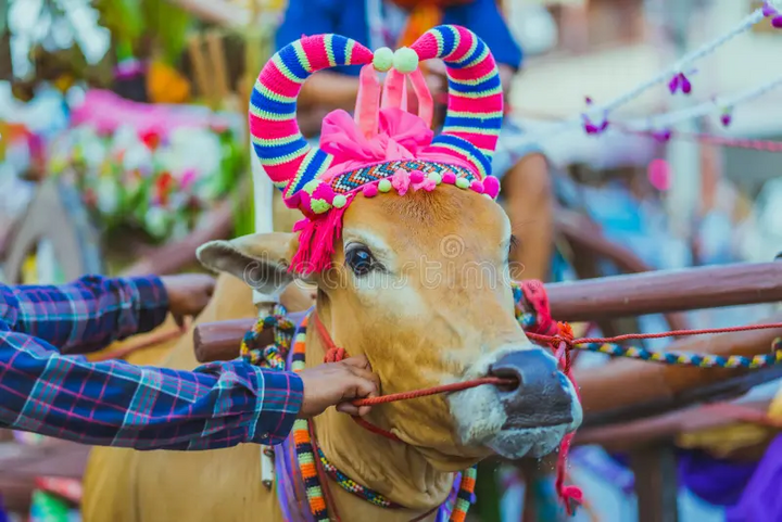 Tại sao người Thái Lan hầu như không ăn thịt bò?- Ảnh 4.