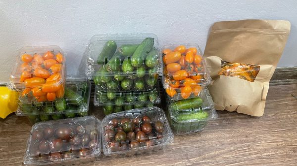 Mang đồ quê lên biếu, người phụ nữ sững sờ trước hành động của thông gia giàu w bai tam su 706 1765958252 263 width1900height1425