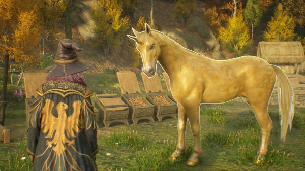 Hogwarts Legacy 2: Những Sinh Vật Huyền Bí Nên Có Cơ Hội Được Xuất Hiện Trong Game xkupz3tkzowssfqwxomywc lyaujpg