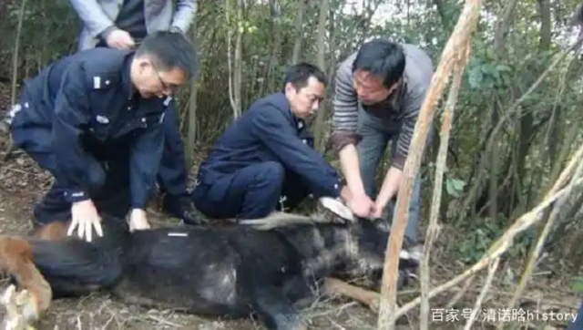 Phát hiện sinh vật đen sì kỳ lạ trên núi, người dân liền báo cảnh sát phong tỏa cả ngôi làng- Ảnh 2. Phát hiện sinh vật đen sì kỳ lạ trên núi, người dân liền báo cảnh sát phong tỏa cả ngôi làng- Ảnh 2.