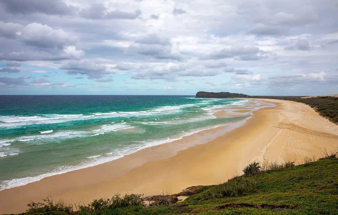 Phát hiện cô gái 19 tuổi tử vong trên bãi biển nổi tiếng với 10 con chó hoang xung quanh- Ảnh 1.