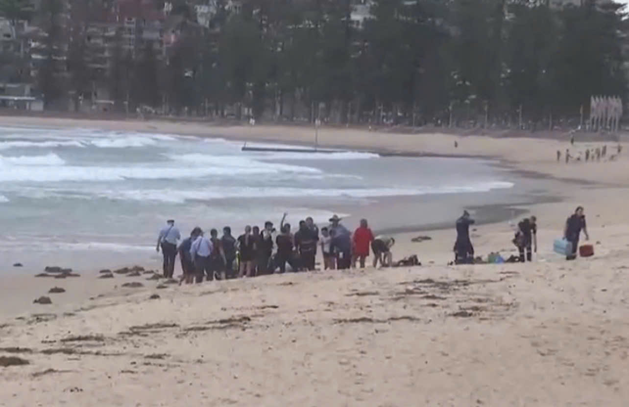 Kinh hoàng cảnh người đàn ông bị cá mập tấn công và cuốn trôi tại bãi biển du lịch- Ảnh 1.