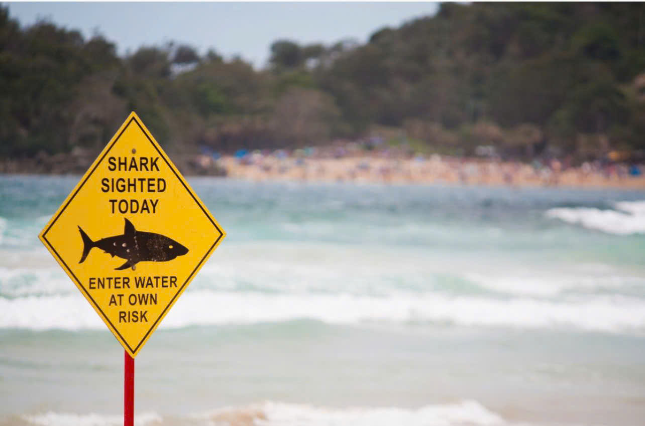 Kinh hoàng cảnh người đàn ông bị cá mập tấn công và cuốn trôi tại bãi biển du lịch- Ảnh 2.