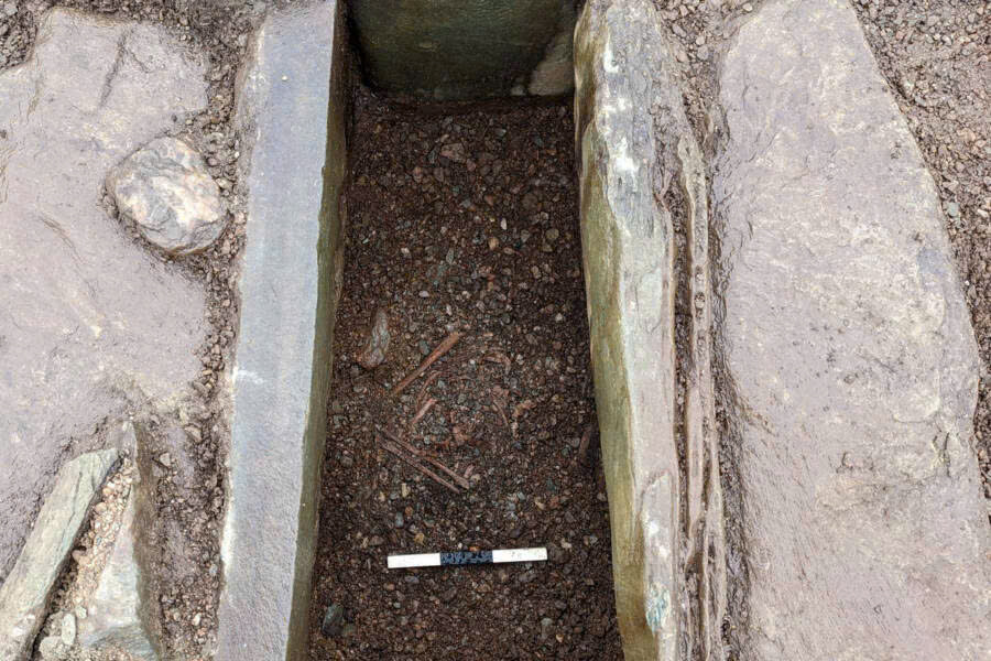 Đang cày ruộng thì phát hiện thứ lạ có niên đại 4.000 năm, người nông dân không tin vào mắt mình- Ảnh 2.